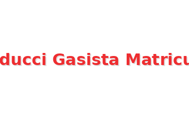 Logo de Apurducci Gasista Matriculado