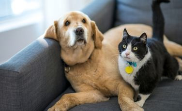 Forrajería 'Lina' - Forrajerías en Sicardi | Calle 659 y 18bis