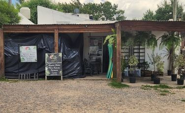 Vivero Vientito - Viveros en Sicardi | Calle 659 entre 11 bis y 12